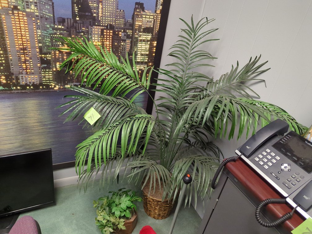 (2) Fake Plants 