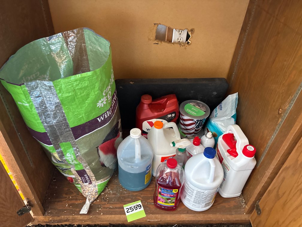 Bug stop, glue, bird, food, motor oil