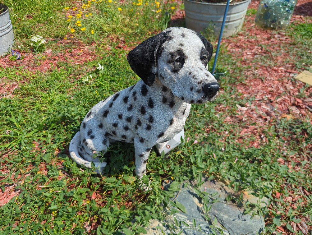 Sitting Dalmatian Resin Statue