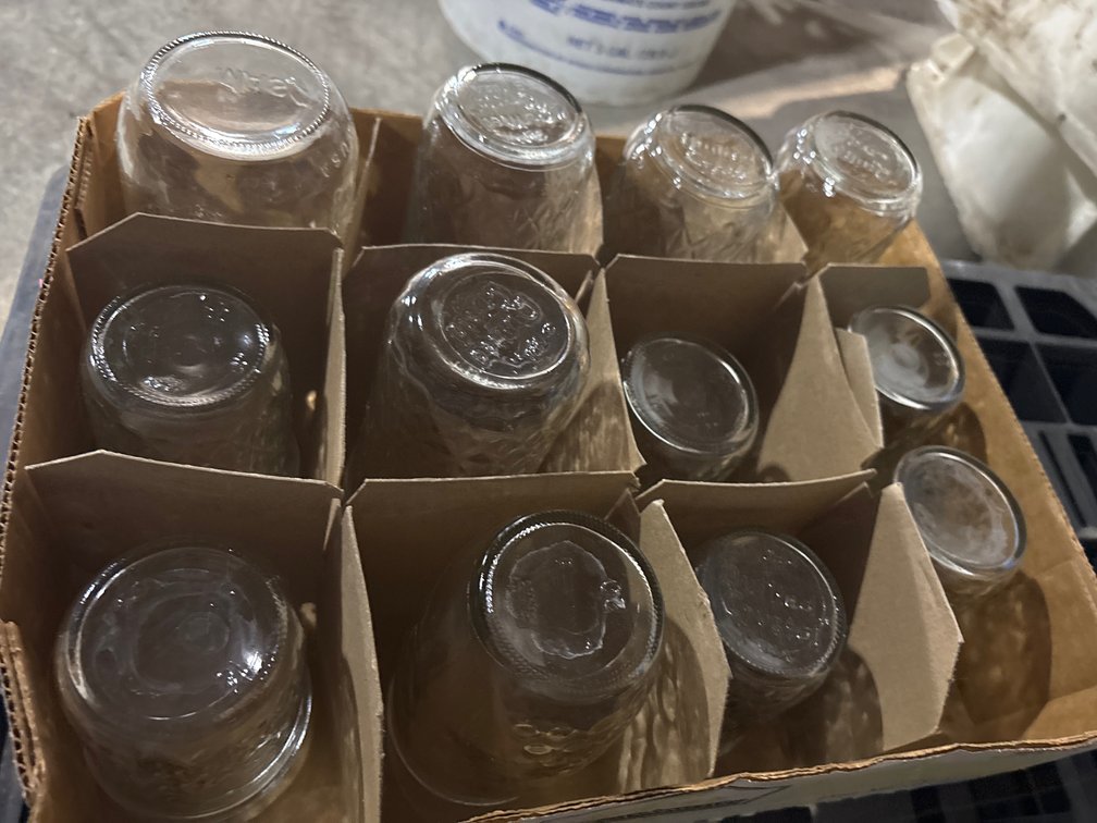 Various sized canning jars,  Mason jar Caps