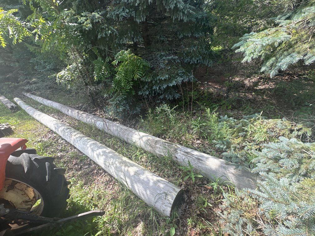 (2) electrical poles