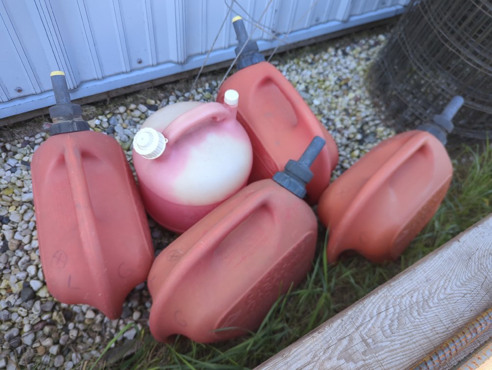 (5) plastic gas cans