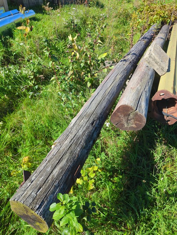 (2) Electric Poles