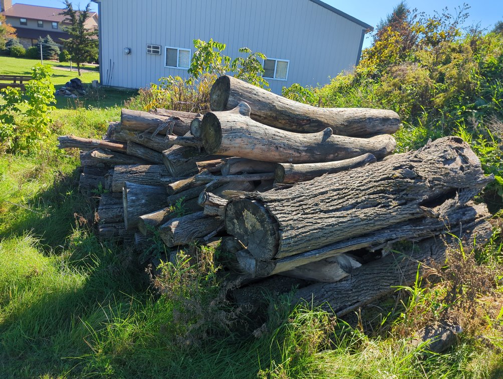 (2) Piles of Logs for Firewood