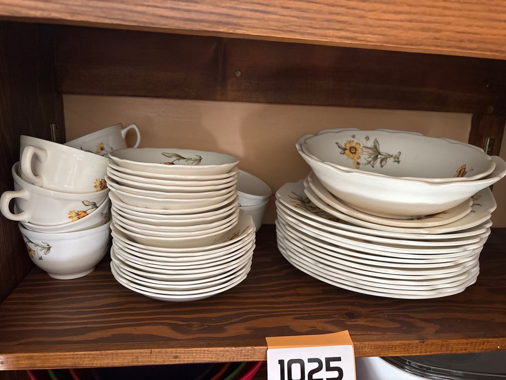 Large Dish Set