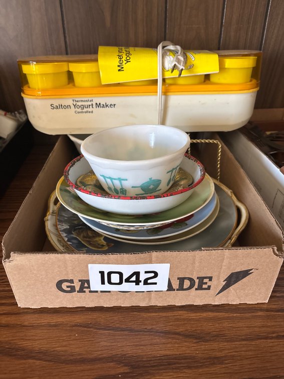 Yogurt Maker & Painted China