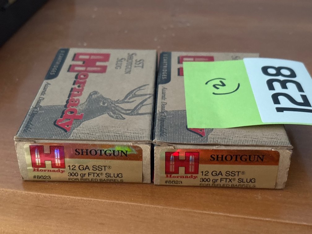 Hornady 12ga SST 300gr FTX Slugs - 10 Rounds