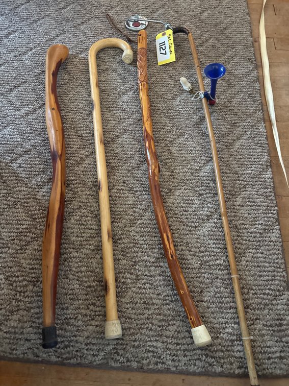 (4) walking sticks