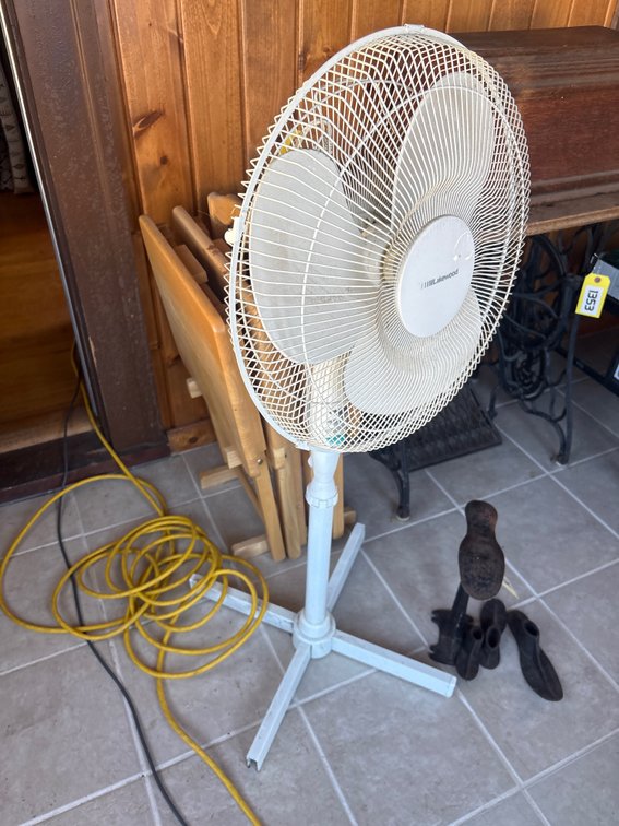 Pedestal fan