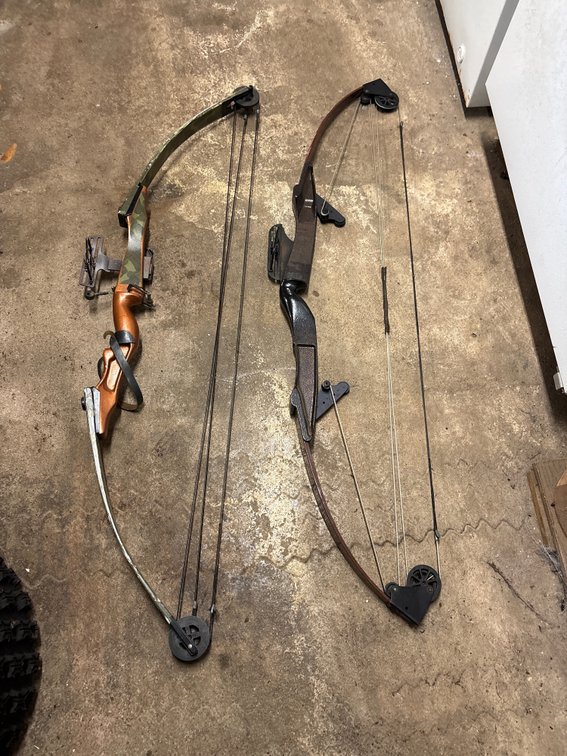 (2)Compound bows
