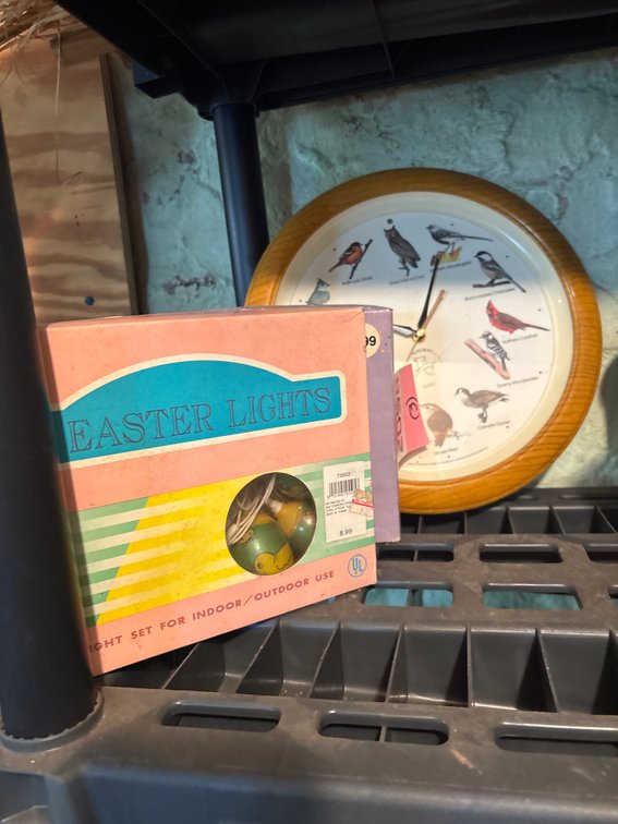 Easter lights and national Audubon Society clock