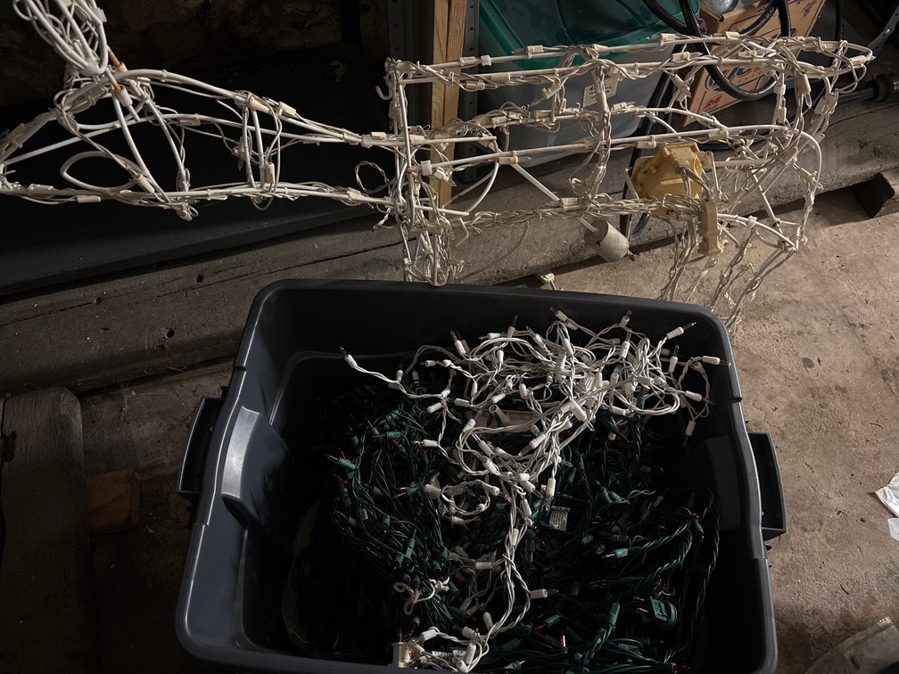 Christmas Lights Tote and Lighted Moving Deer