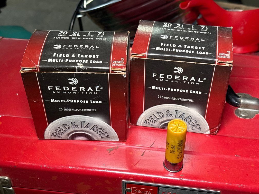 (34) Rounds 20ga Federal 7-1/2 Shot