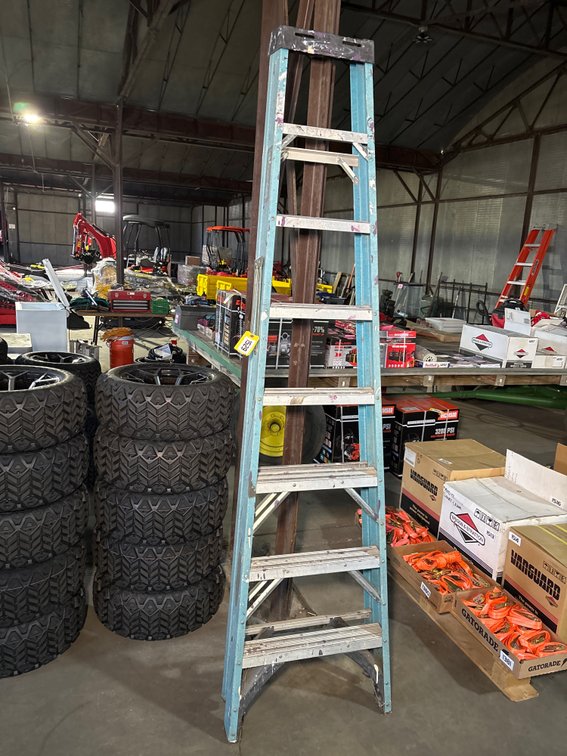 Werner 8ft Fiberglass Stepladder