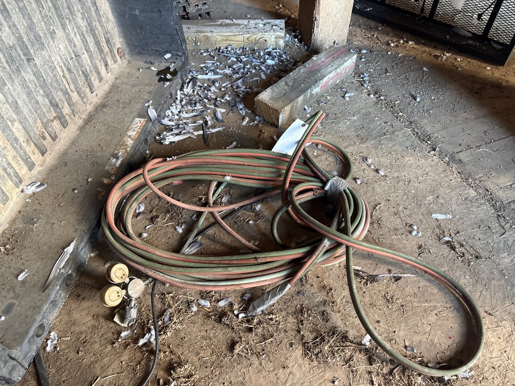 Welding hoses and gauges