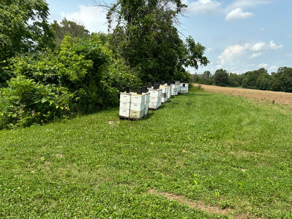 Image for 22 Acres Vacant Land, Kohlhoff Ln, Watertown For Sale by Online Bidding