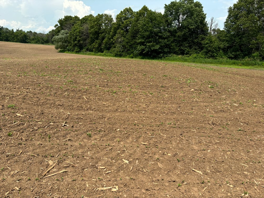 Image for 22 Acres Vacant Land, Kohlhoff Ln, Watertown For Sale by Online Bidding