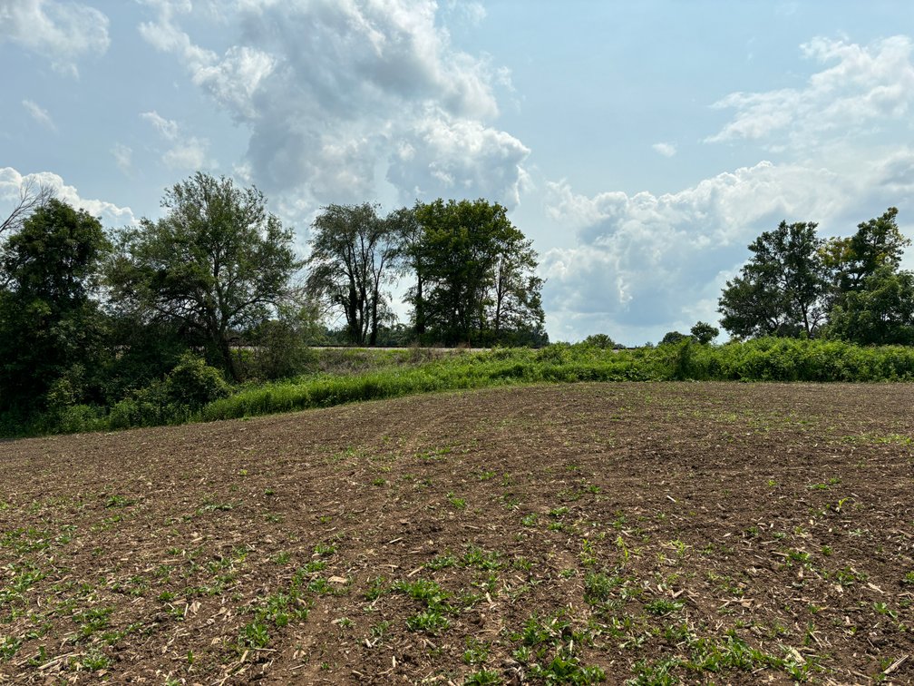 Image for 22 Acres Vacant Land, Kohlhoff Ln, Watertown For Sale by Online Bidding
