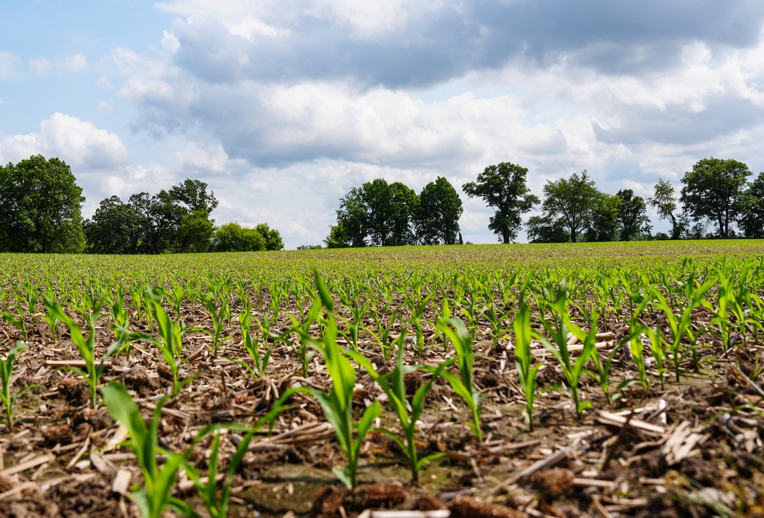 Image for Columbus, WI - 38 acre Vacant Land For Sale
