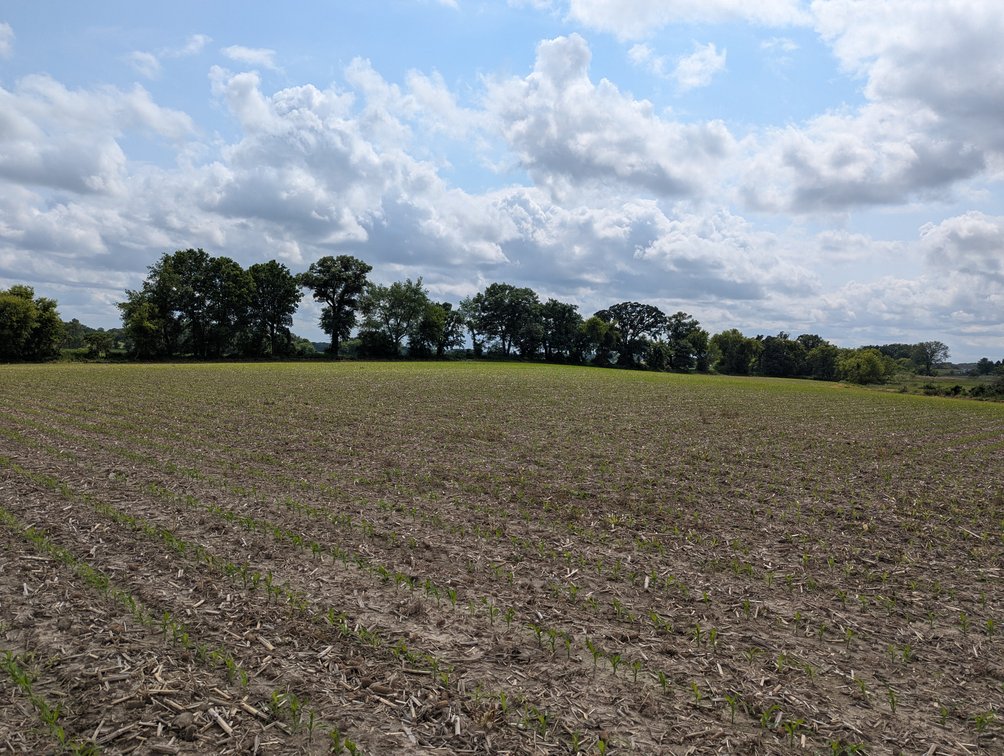 Image for Columbus, WI - 38 acre Vacant Land For Sale