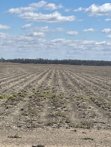 Image for Chicot County 280