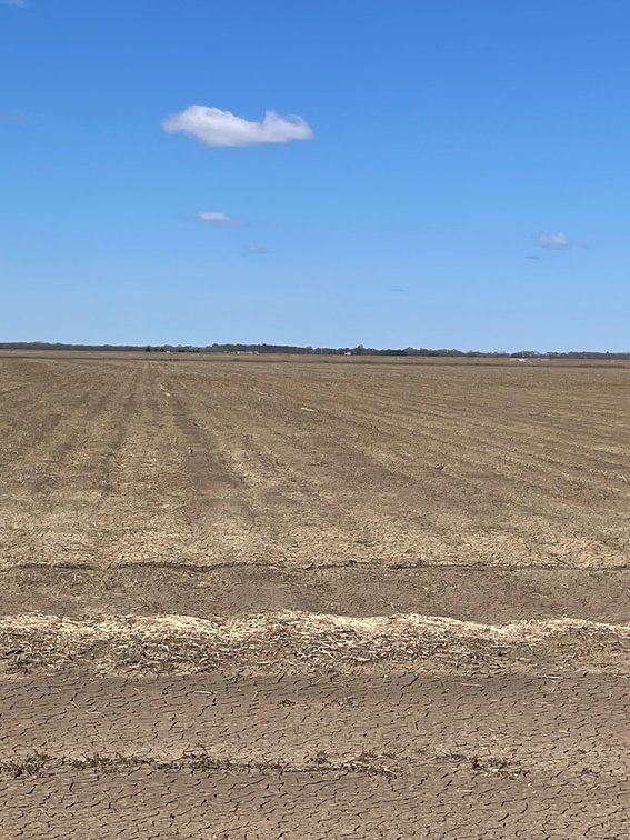 Image for Chicot County 280