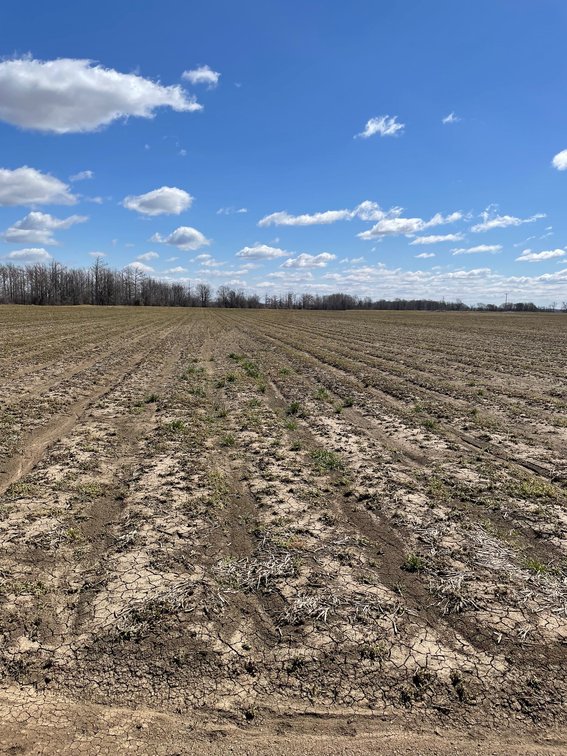 Image for Chicot County 280