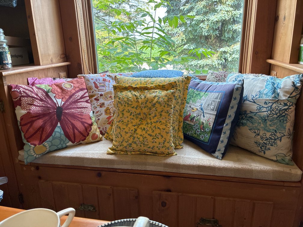 10 Room/Sofa Sized Pillows