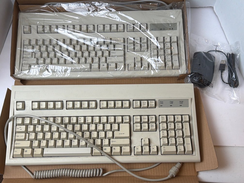 Computer Keyboards & Mouse