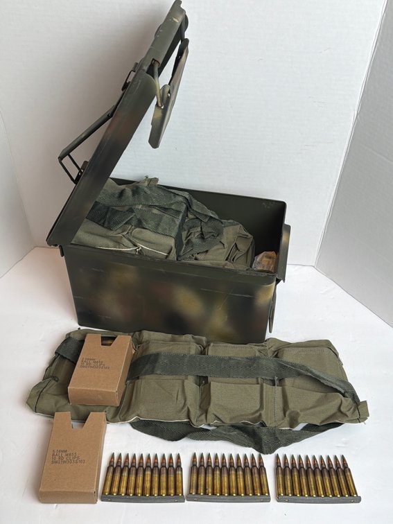5.56mm Ball M855 10 Round Clips