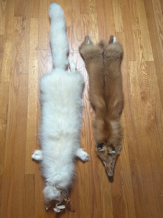 Red & White Fox Fur Pelt