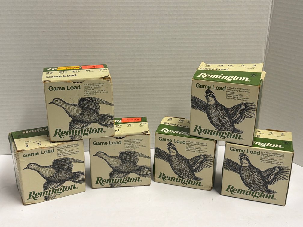 Remington 20 Gauge Shotshells