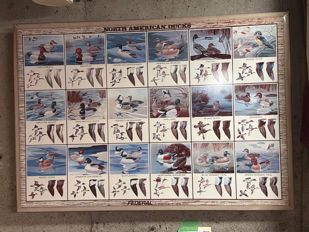 Federal Ammunition Metal Sign