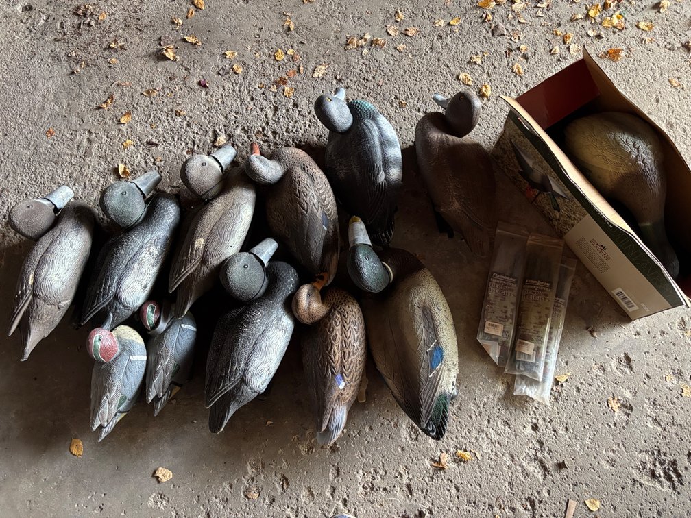 Duck Decoys