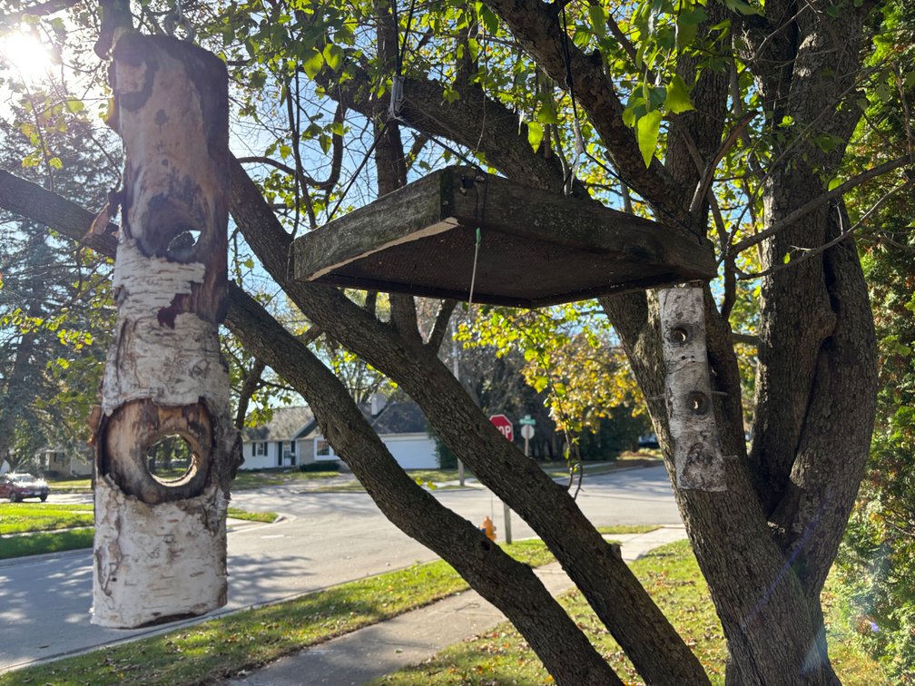 Bird Feeders