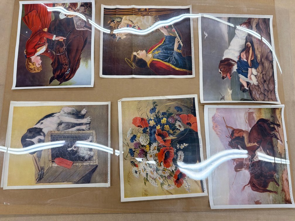 Rolled Paper Prints