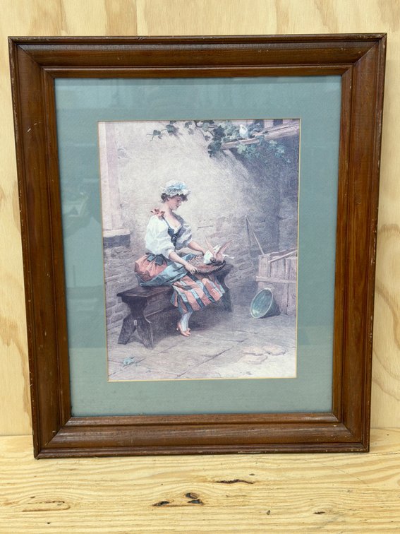 Mes Colombes Framed Print