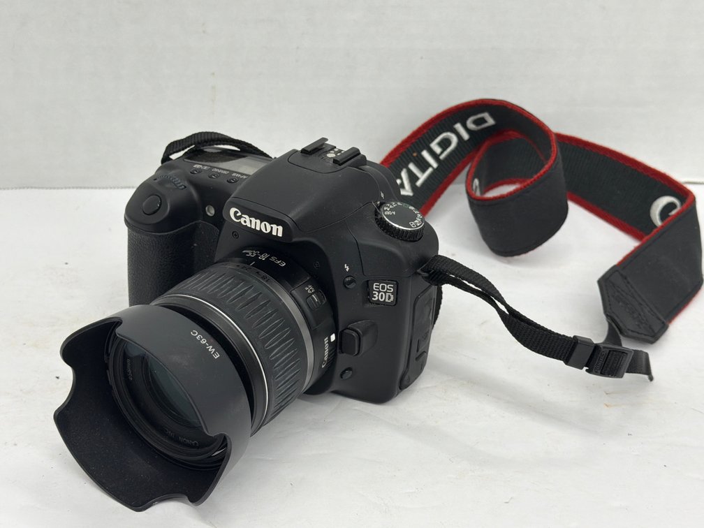 Canon EOS 30D Digital Camera