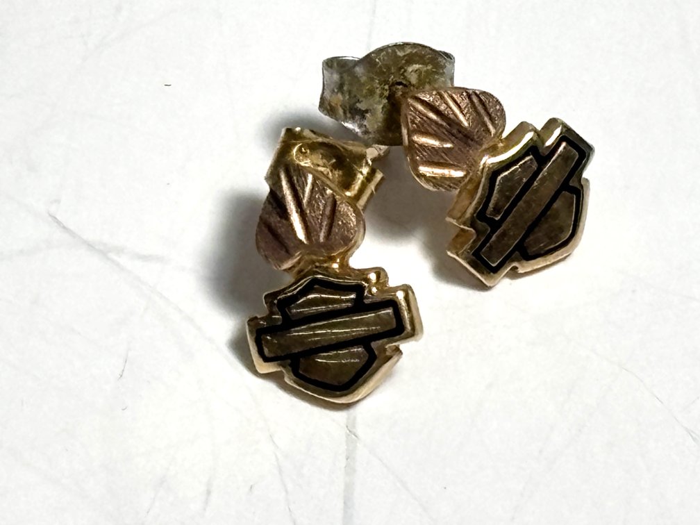 10k Gold Earrings