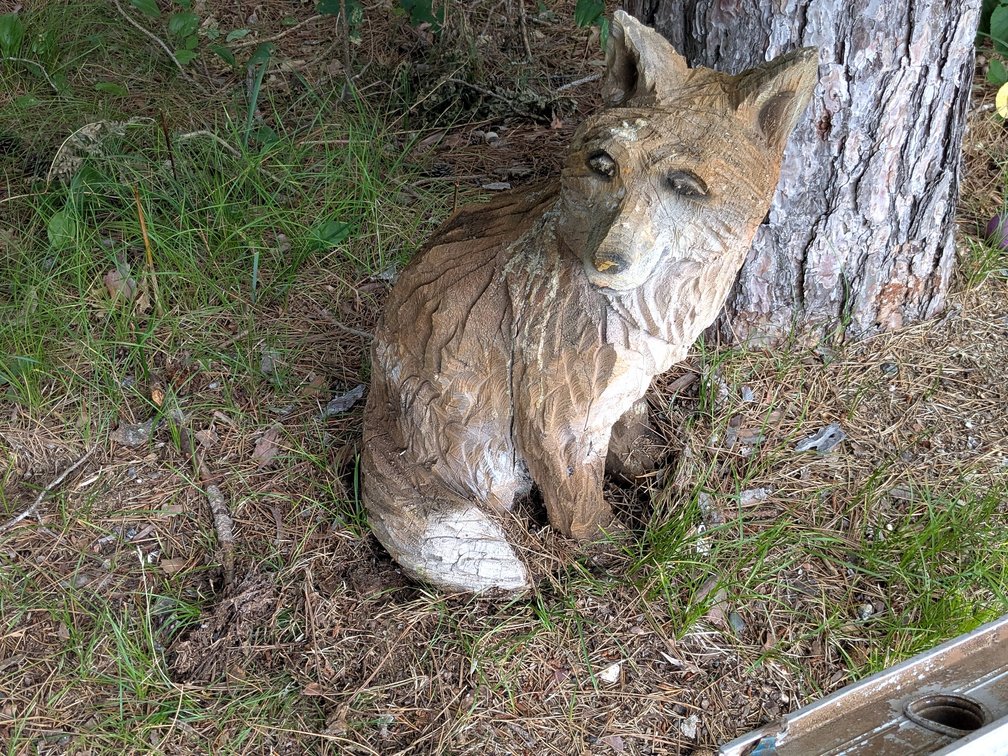 Chainsaw carved red fox is nearly 2' tall.