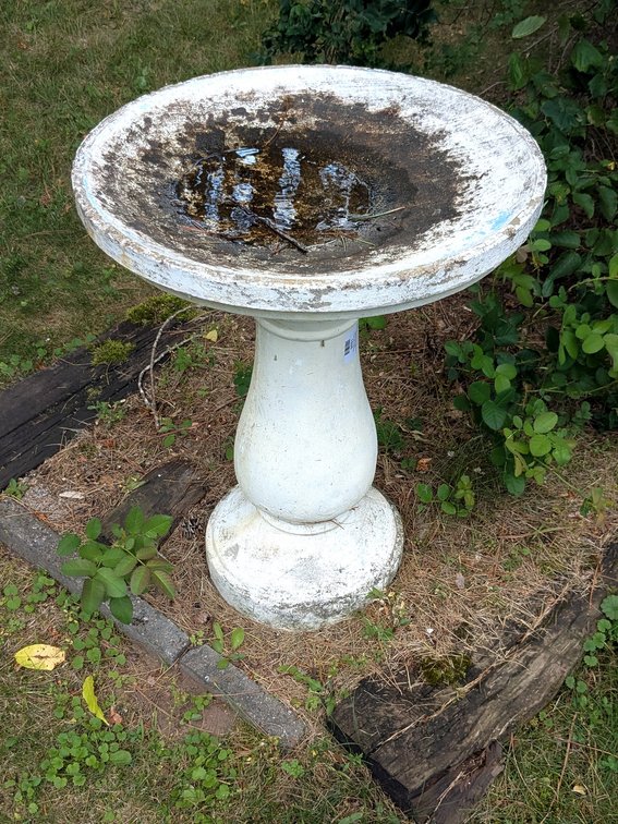 Concrete bird bath is 20" x 27" high. Bring help to remove.