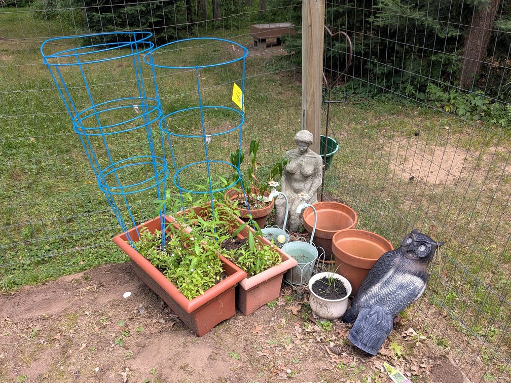 Planter boxes, owl decoy, heavy duty tomato cages, concrete statue, more. Widest planters 26", no sh