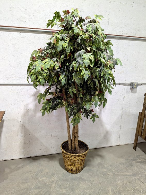 Faux tree stands 7' tall.