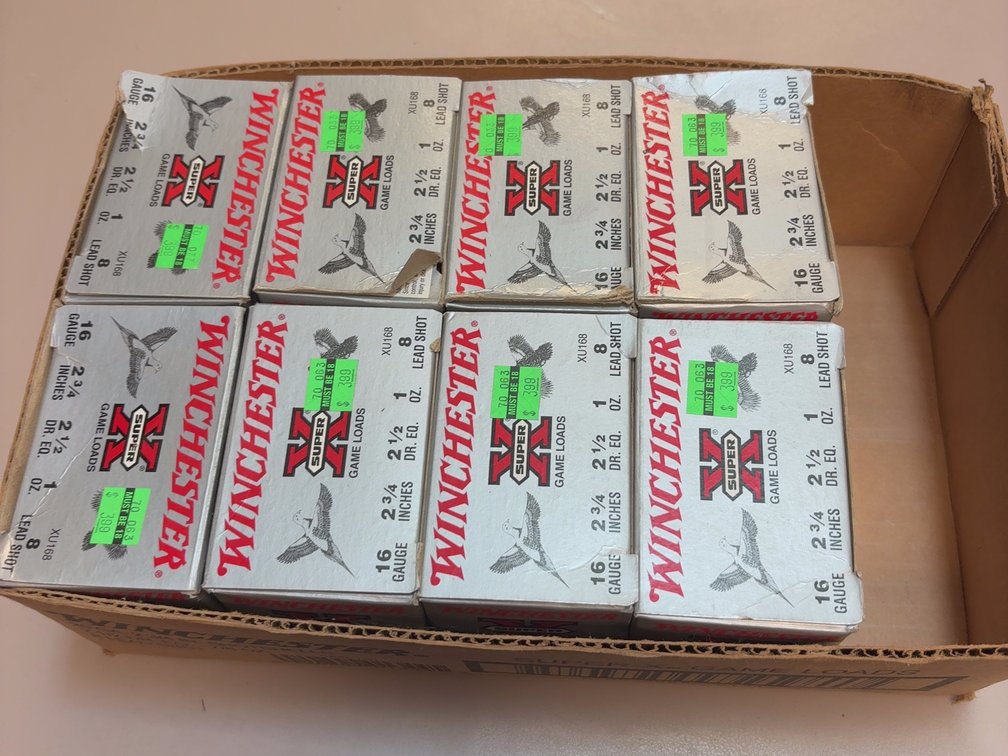 200 16 gauge lead shot shells