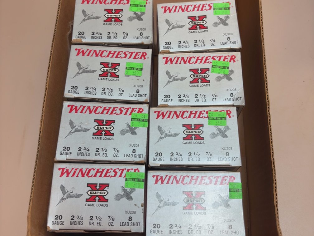 20 gauge 8 shot lead