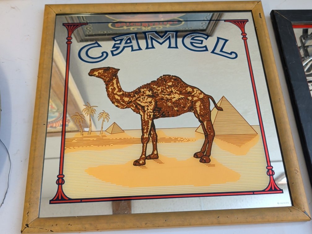 Camel mirror