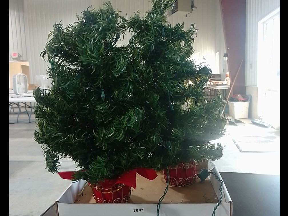 (2) Christmas Table Top Trees