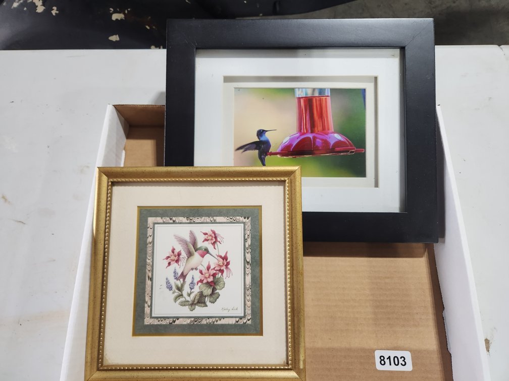 (2) Hummingbird Photos w/Frames