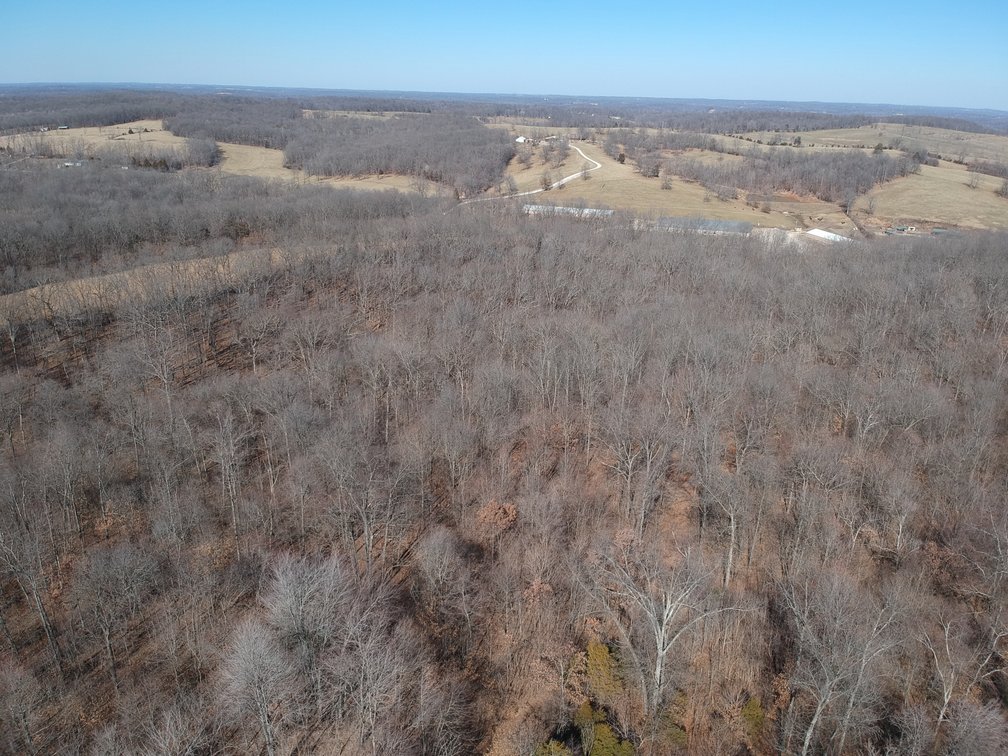 Image for 39.56 +/- Acres Hwy 34, Cape Girardeau County, MO (MLS #24011383)