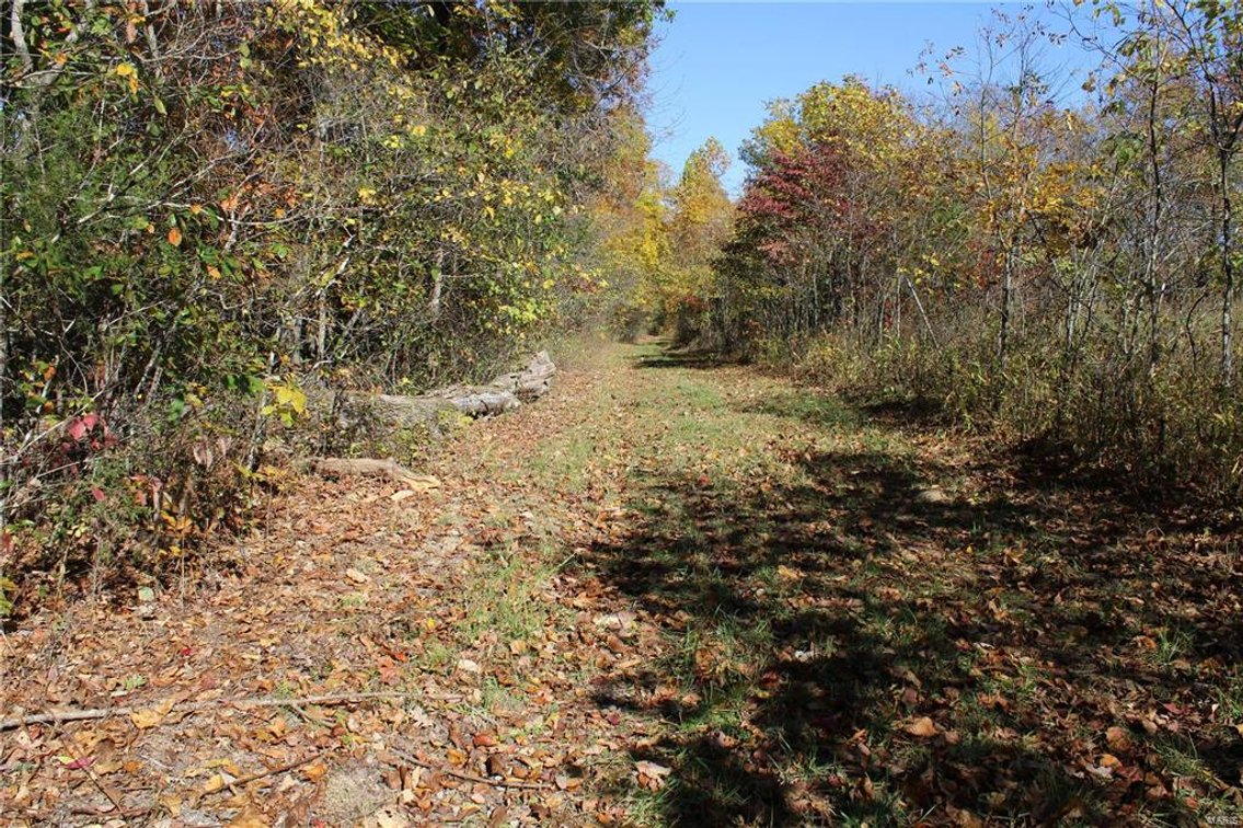 Image for 40 Acres M/L, County Road 60-327 Ellsinore 63937, MLS 23064102